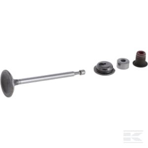 Įsiurbimo vožtuvas Briggs & Stratton