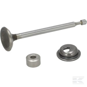 Išmetimo vožtuvas Briggs & Stratton