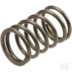 Vožtuvo spyruoklė Briggs & Stratton