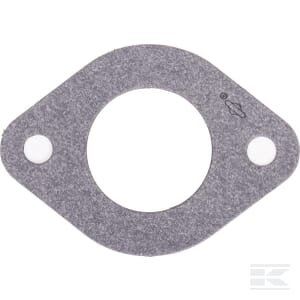 Įsiurbimo tarpinė Briggs & Stratton