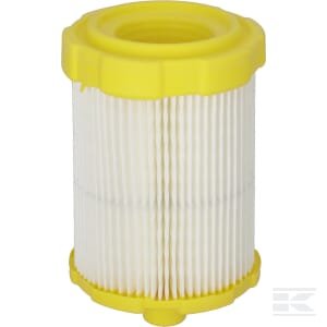 Oro filtro kasetė Briggs & Stratton