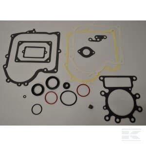 Tarpinių komplektas Briggs & Stratton