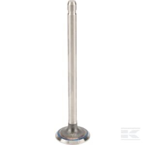 Išmetimo vožtuvas Briggs & Stratton