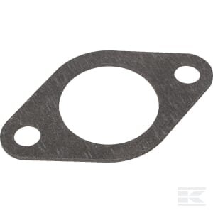 Įsiurbimo tarpinė Briggs & Stratton