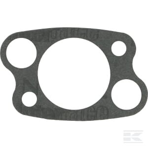 Filtro tarpinė Briggs & Stratton