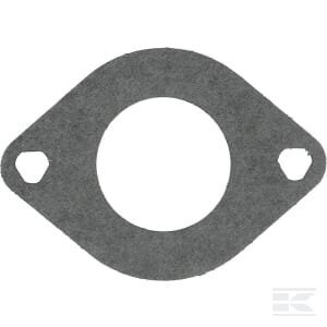 Įsiurbimo tarpinė Briggs & Stratton