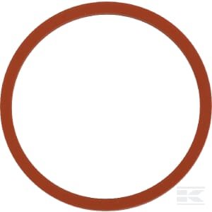 O-žiedas Briggs & Stratton