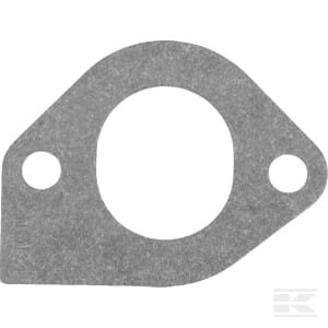 Įsiurbimo tarpinė Briggs & Stratton