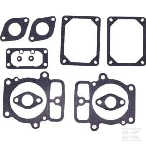 Vožtuvų remonto komplektas Briggs & Stratton