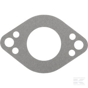 Įsiurbimo tarpinė Briggs & Stratton