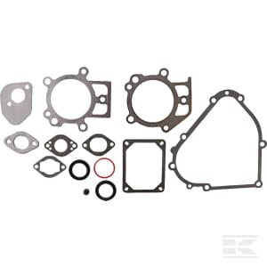 Tarpinių komplektas Briggs & Stratton