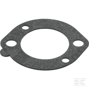 Filtro tarpinė Briggs & Stratton