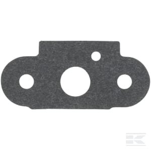 Įsiurbimo tarpinė Briggs & Stratton