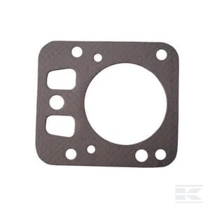 Cilindro galvutės tarpinė Briggs & Stratton