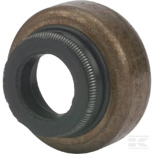 Vožtuvo koto tarpinė Briggs & Stratton