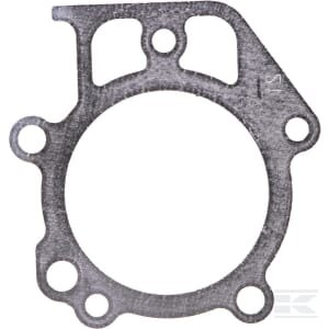 Cilindro galvutės tarpinė Briggs & Stratton