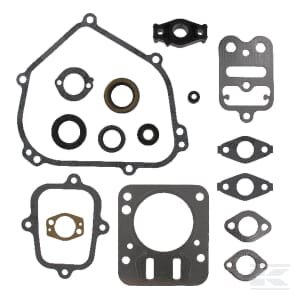 Tarpinių komplektas Briggs & Stratton