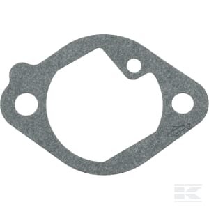 Įsiurbimo tarpinė Briggs & Stratton