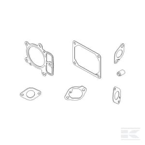 Vožtuvų tarpinės komplektas Briggs & Stratton