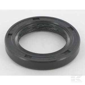 Alyvos sandariklis Briggs & Stratton