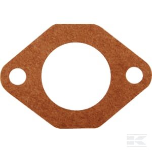 Įsiurbimo tarpinė Briggs & Stratton