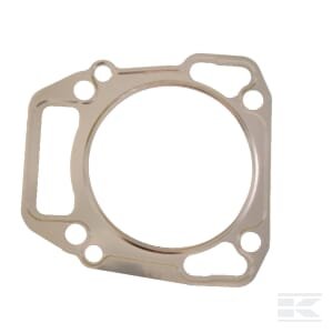 Cilindro galvutės tarpinė Briggs & Stratton