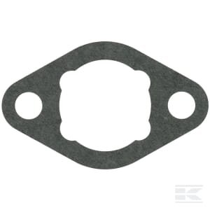 Įsiurbimo tarpinė Briggs & Stratton