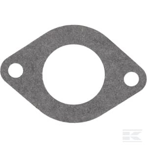 Įsiurbimo tarpinė Briggs & Stratton