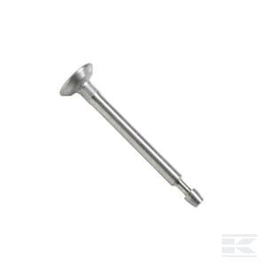 Įsiurbimo vožtuvas Briggs & Stratton