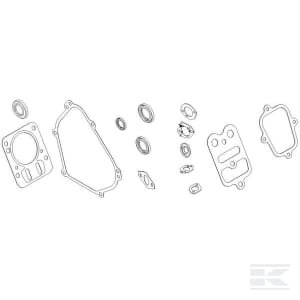 Tarpinių komplektas Briggs & Stratton