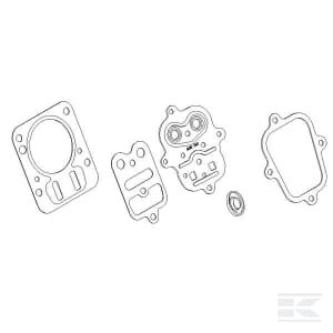 Cilindro galvutės tarpinė Briggs & Stratton