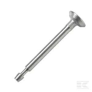 Išmetimo vožtuvas Briggs & Stratton