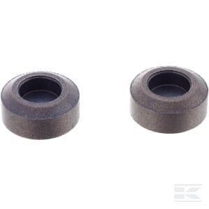 Vožtuvo dangtelis Briggs & Stratton