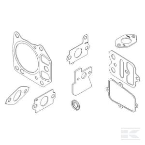 Tarpinių komplektas Briggs & Stratton