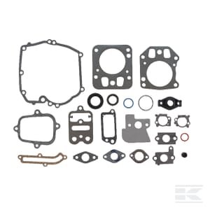 Tarpinių komplektas Briggs & Stratton