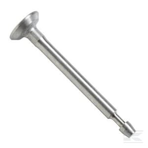 Įsiurbimo vožtuvas Briggs & Stratton