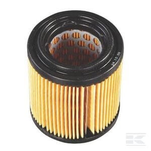 Oro filtras Briggs & Stratton