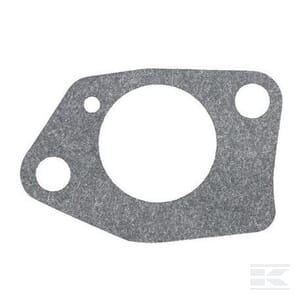 Įsiurbimo tarpinė Briggs & Stratton