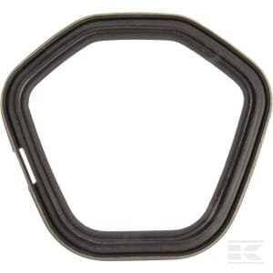 Vožtuvų dangtelio tarpinė Briggs & Stratton