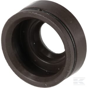 Vožtuvo veleno dangtelis Briggs & Stratton