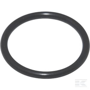 O formos sandarinimo žiedas Briggs & Stratton