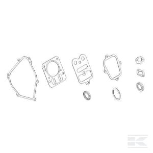 Tarpinių komplektas Briggs & Stratton