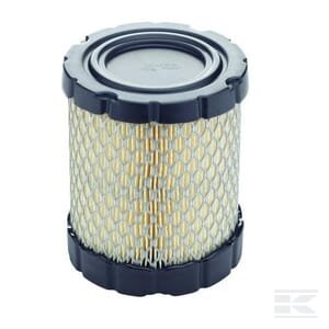 Oro filtras (4250) Briggs & Stratton