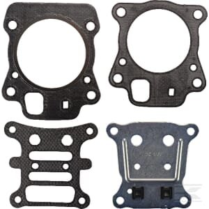 Cilindro galvutės tarpinė Briggs & Stratton