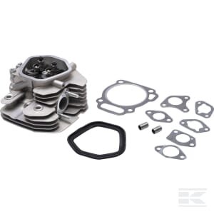 Cilindro galvutė Briggs & Stratton