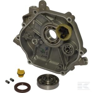 Karterio dangtis Briggs & Stratton