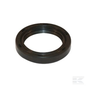 Alyvos sandariklis Briggs & Stratton