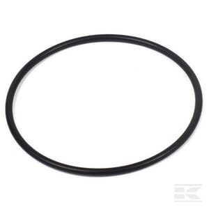 Sandarinimo žiedas Briggs & Stratton