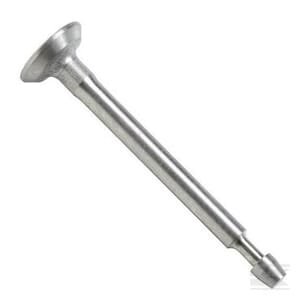 Įsiurbimo vožtuvas Briggs & Stratton