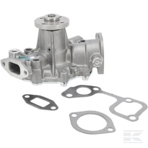 Vandens siurblys Briggs & Stratton